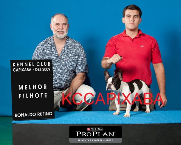 Clique sobre a foto para fechar